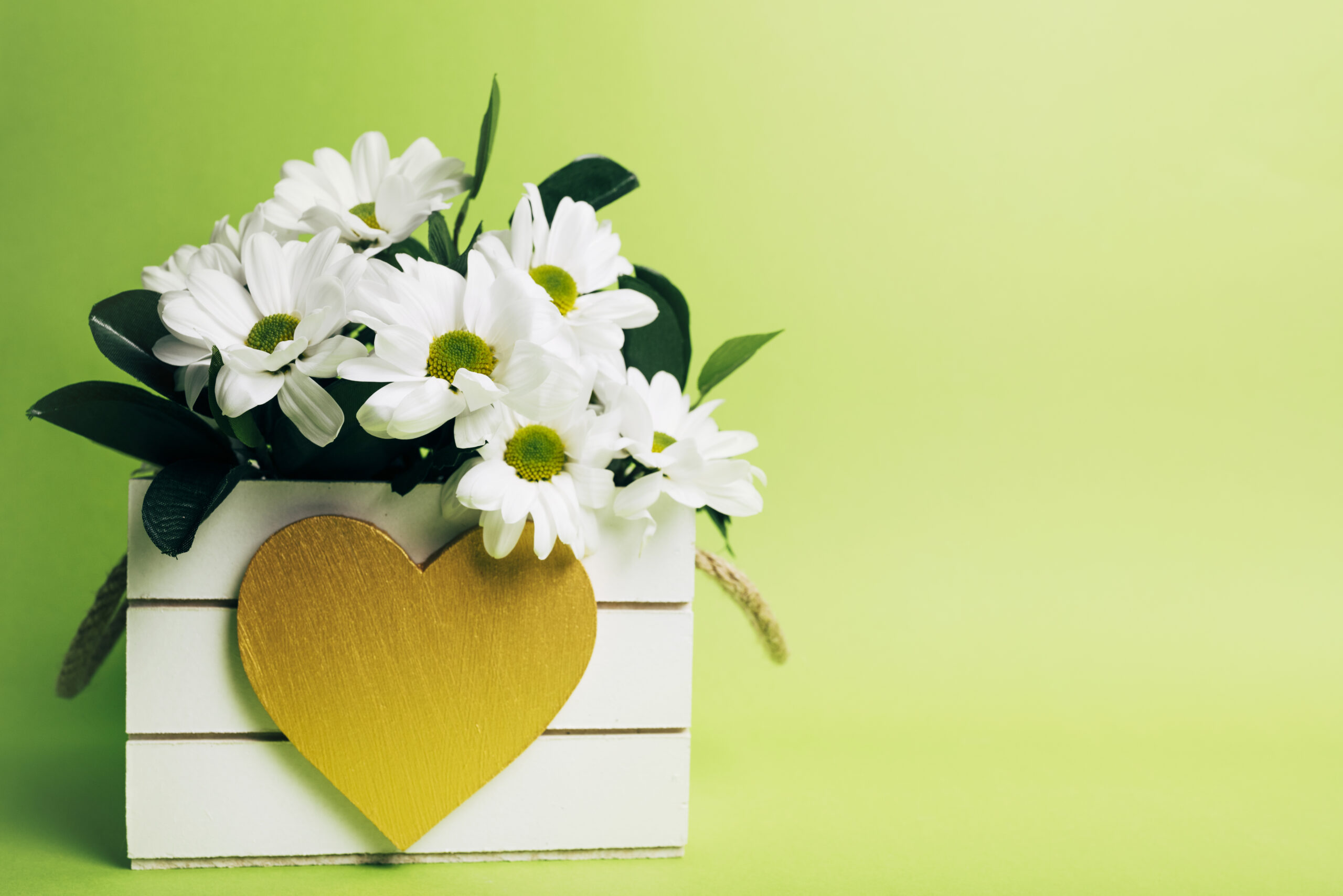 Discover the best gift ideas that create beautiful memories. Find unique, thoughtful gifts for every special occasion.